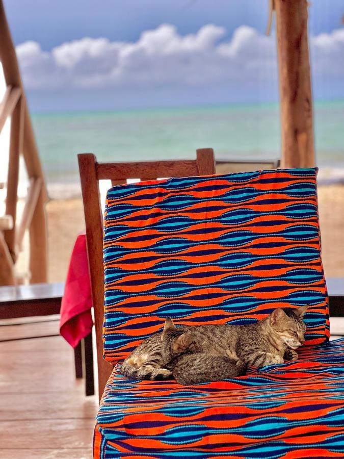 Jambiani White Sands Bungalows Exterior foto